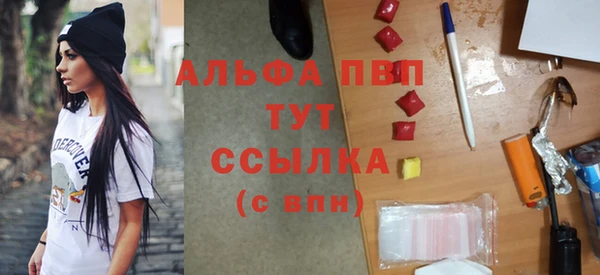 стаф Абинск