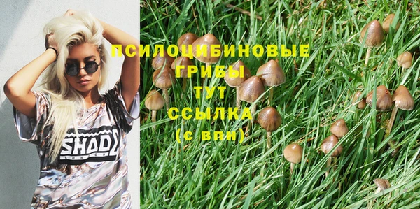 не бодяженный Абдулино
