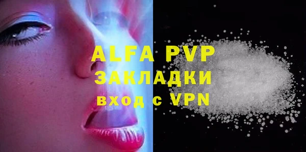 стаф Абинск