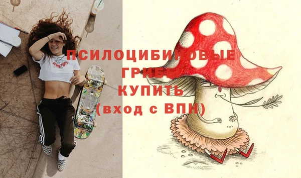 стаф Абинск