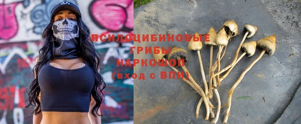 стаф Абинск
